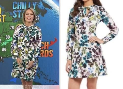 dylan dreyer, the today show, floral tie neck dress
