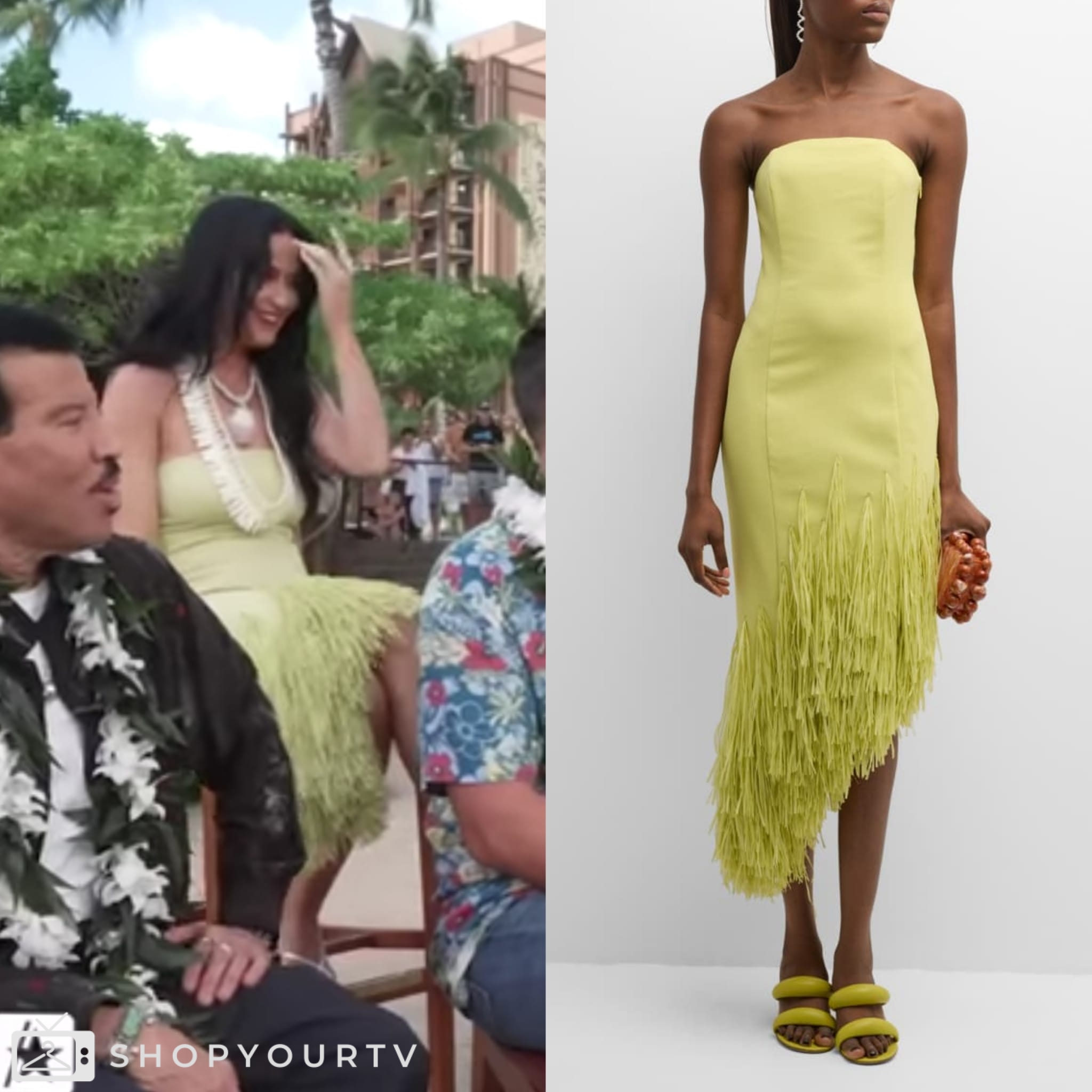 Extra Perry Extra: April 2024 Katy Perry’s Strapless Fringed Dress | Shop Your TV