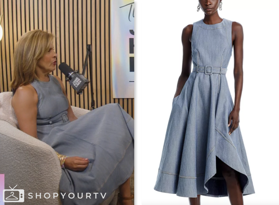 hoda kotb denim dress WornOnTV: Hoda's grey belted denim midi dress on Today | Hoda Kotb
