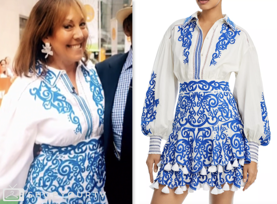 The Today Show: August 2024 Elizabeth Heiskell's Blue and White ...
