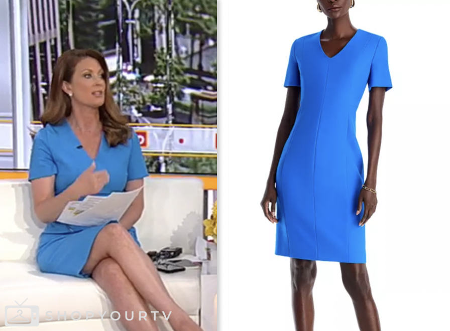 Molly Line Model Outnumbered: August 2024 Molly Line's Blue V-Neck Sheath Dress | Shop ...