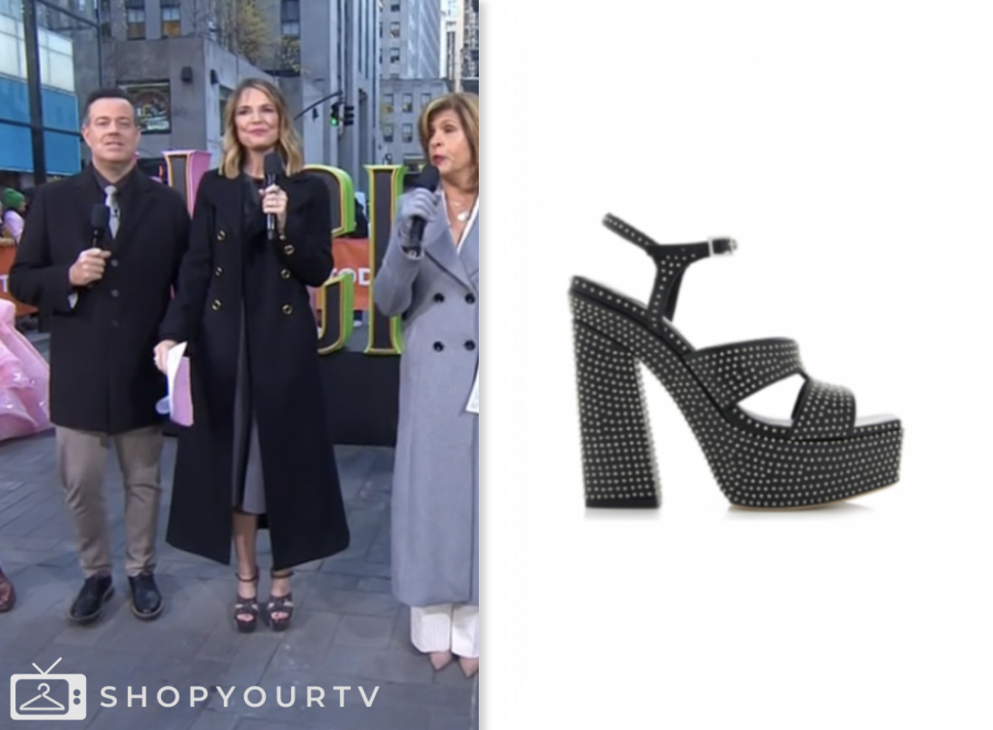 The Today Show: November 2024 Savannah Guthrie's Studded Platform