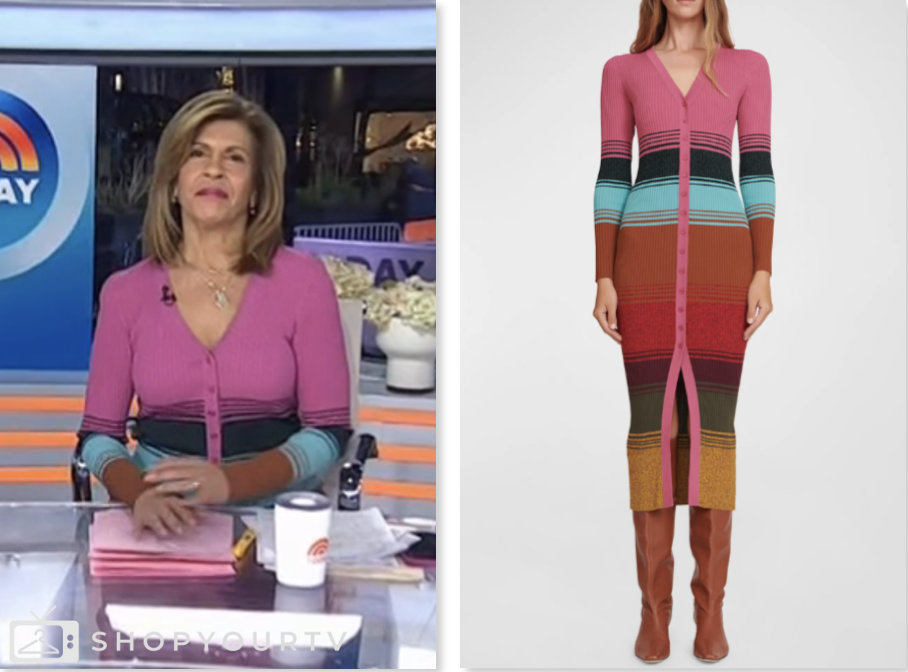 The Today Show: January 2025 Hoda Kotb’s Pink Striped Knit Midi Dress ...
