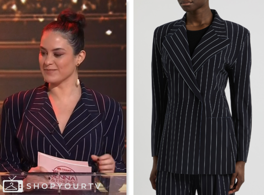The Today Show: January 2025 Donna Farizan's Pinstripe Blazer | Shop ...