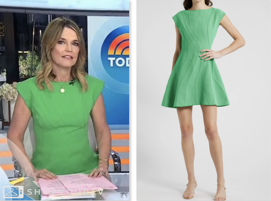 The Today Show January 2025 Savannah Guthrie S Green Pintuck Detail Screen Shot 2025 01 27 At 7.01.42 AM