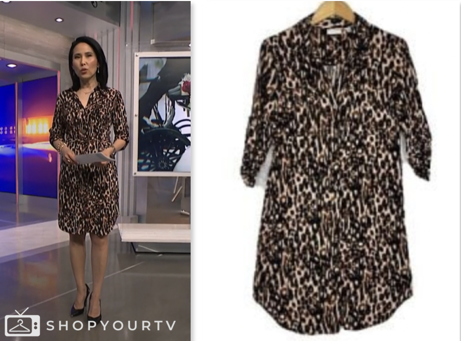 nbc news daily, vicky nguyen, animal print shirt dress