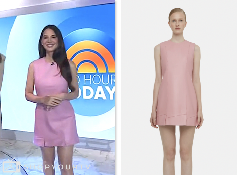 the today show, pink leather mini dress, olivia munn, jenna and friends