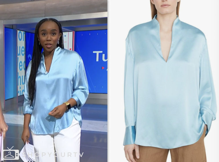 nbc news daily, blue satin blouse, Zinhle Essamuah