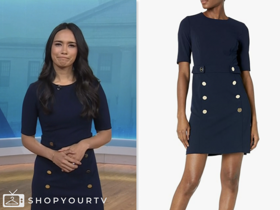 the today show, navy blue button detail dress, emilie ikeda
