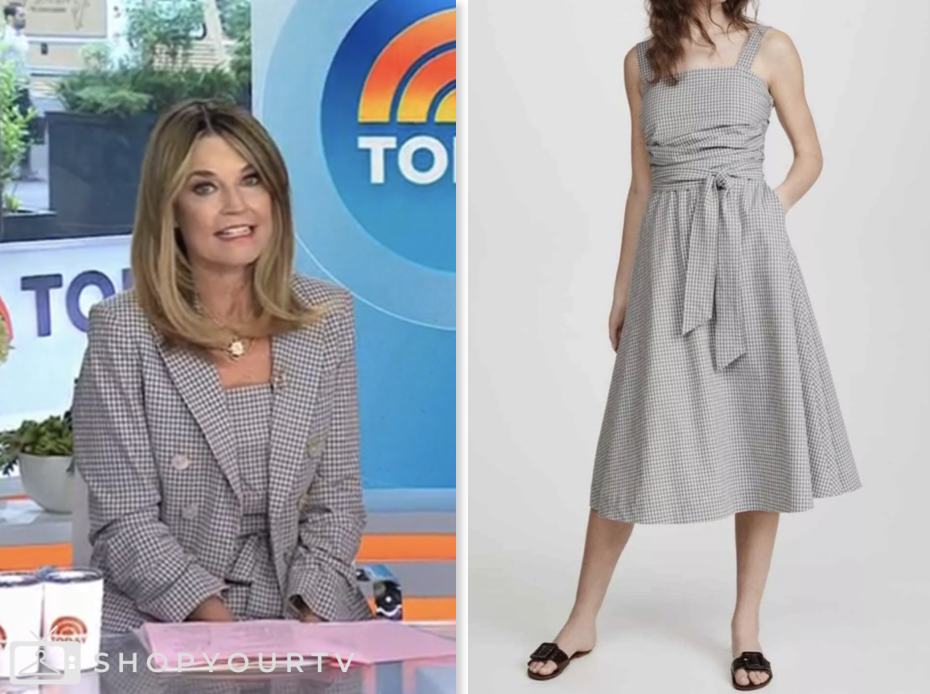 The Today Show May 2025 Savannah Guthrie S Grey Gingham Dress Shop Screen Shot 2025 05 01 At 7.12.47 AM