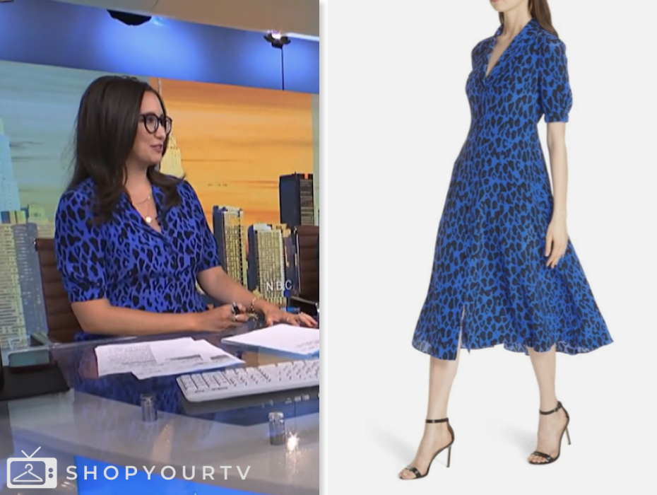 savannah sellers, nbc news daily, blue leopard dress