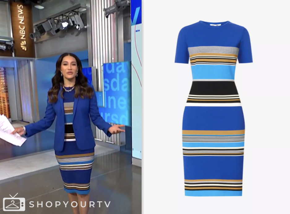nbc news daily, blue striped knit dress, morgan radford