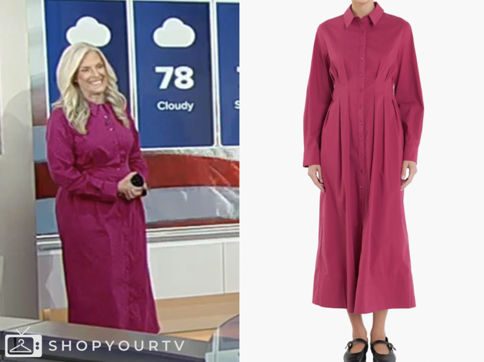 fox and friends, fox news fashion, janice dean, pink shirt dress