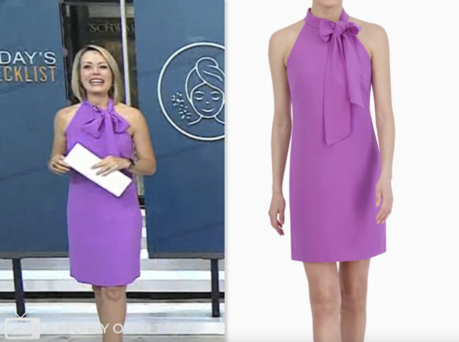 the today show, purple tie neck dress, dylan dreyer
