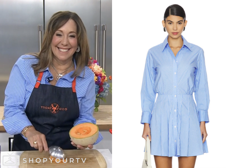 The Today Show: June 2025 Elizabeth Heiskell's Blue Striped Shirt Dress ...