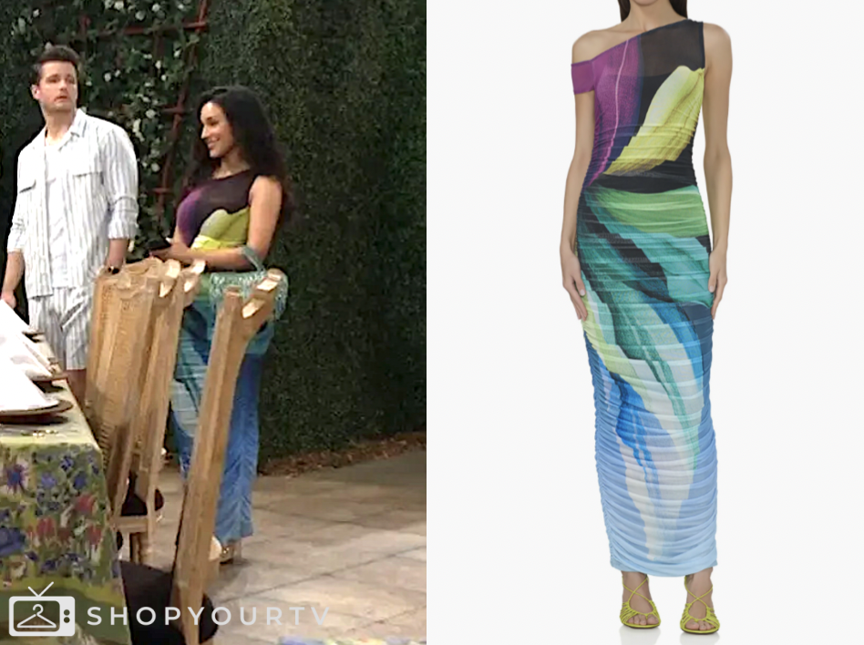 Zuleyka Silver, audra charles, colorblock mesh maxi dress, the young and the restless