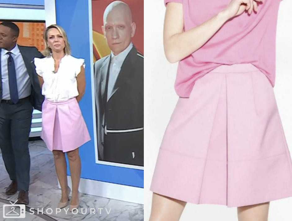 the today show, dylan dreyer, pink pleated mini skirt