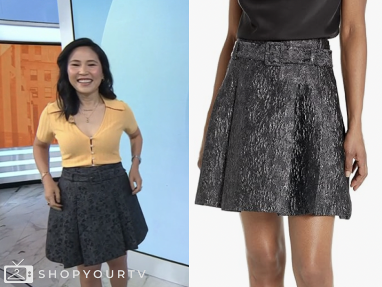 the today show, grey brocade skirt, vicky nguyen