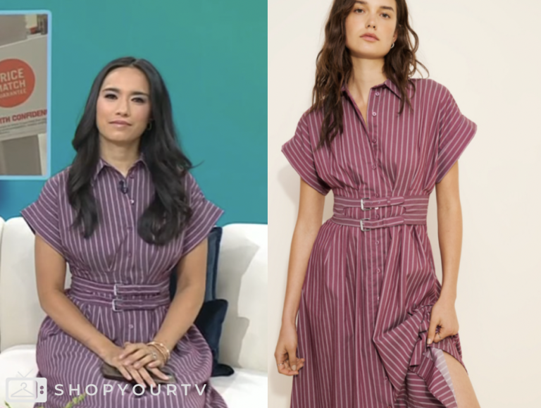the today show, burgundy striped double buckle midi dress, emile ikeda