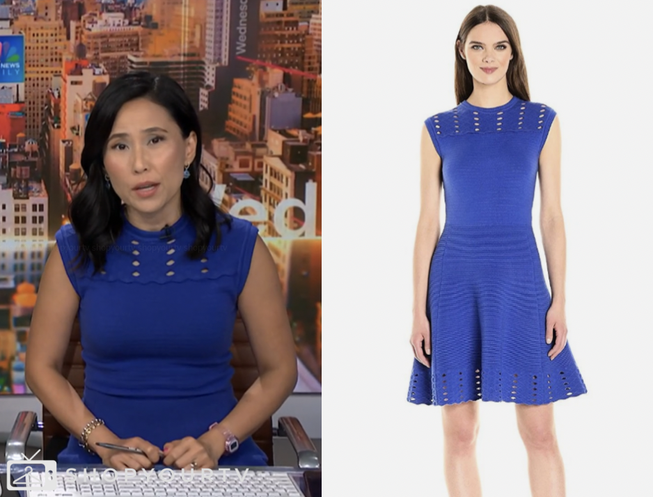 nbc news daily, blue cutout knit flare dress, vicky nguyen