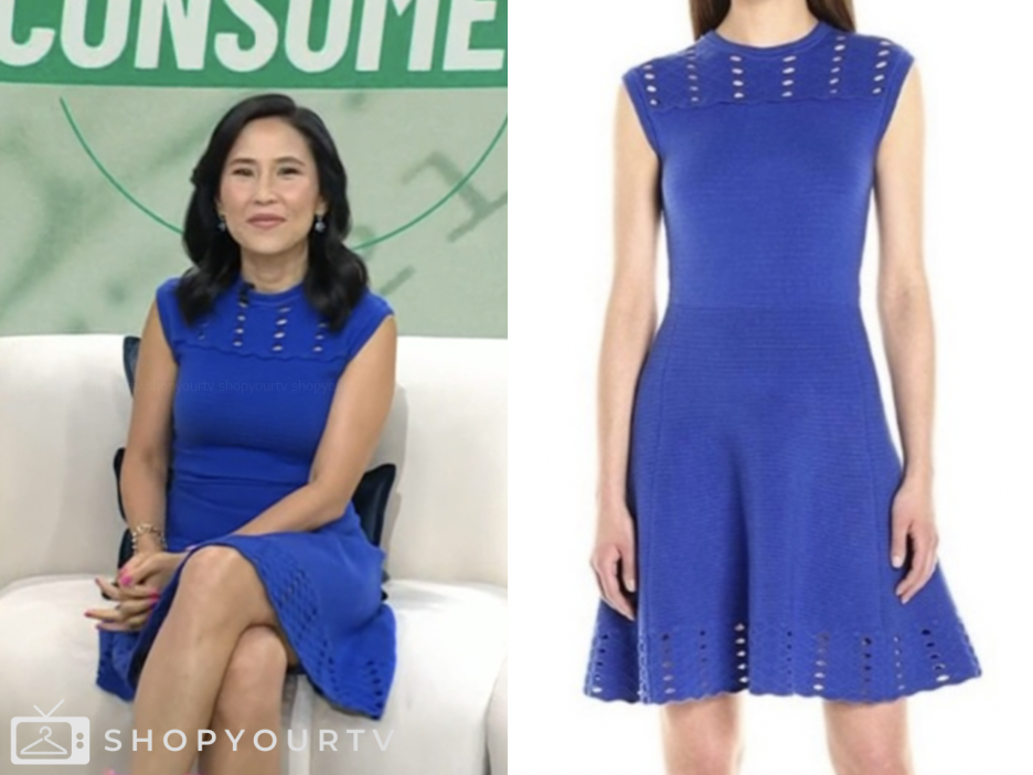 the today show, blue jacquard dress, vicky nguyen