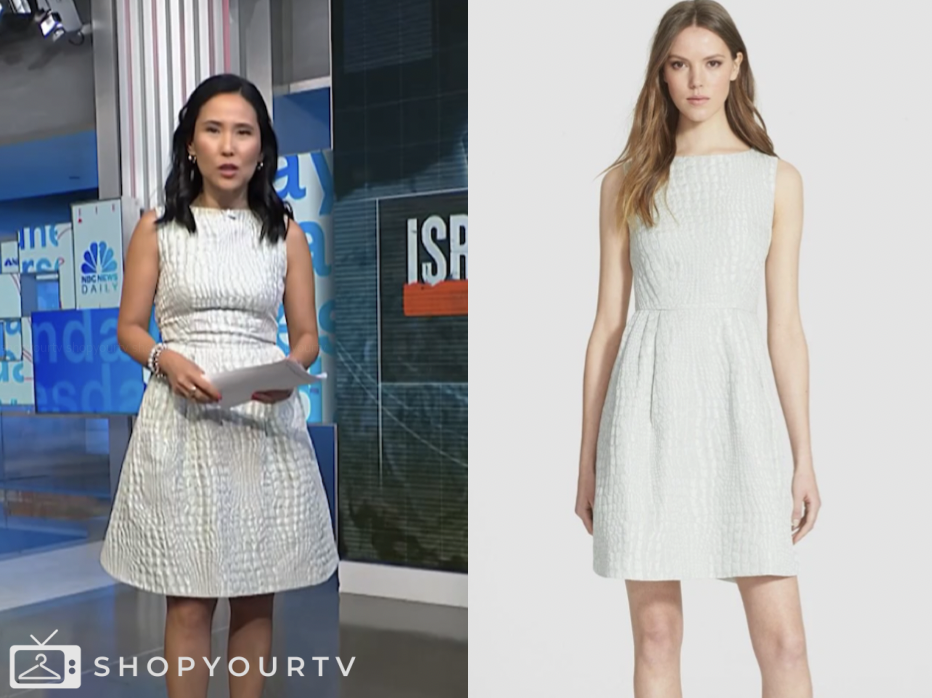 grey textured dress, nbc news daily, vicky nguyen