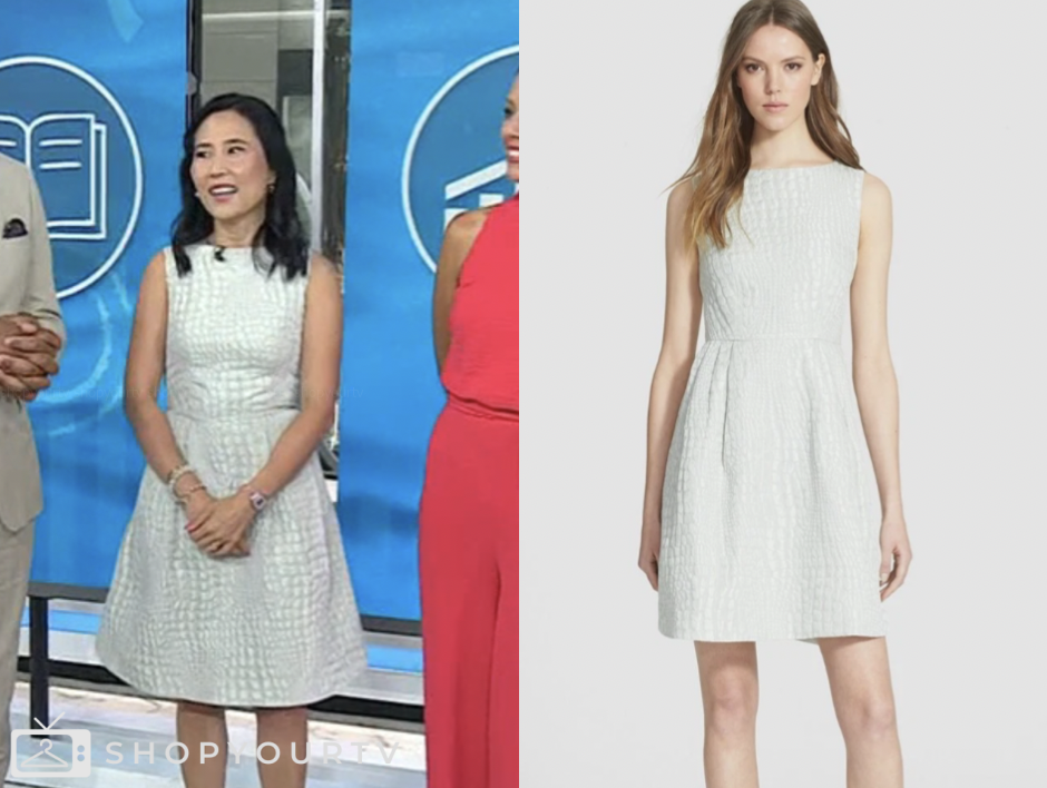 the today show, grey textured dress, vicky nguyen